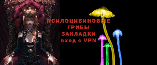 spice Алексин