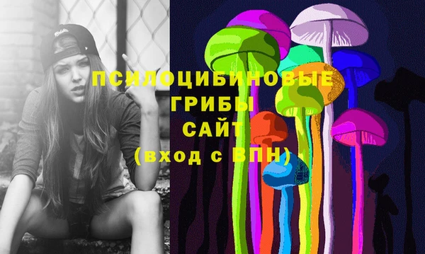 spice Алексин